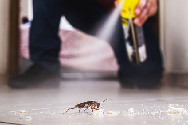 Best Commercial Pest Control Services  in Boswell, PA